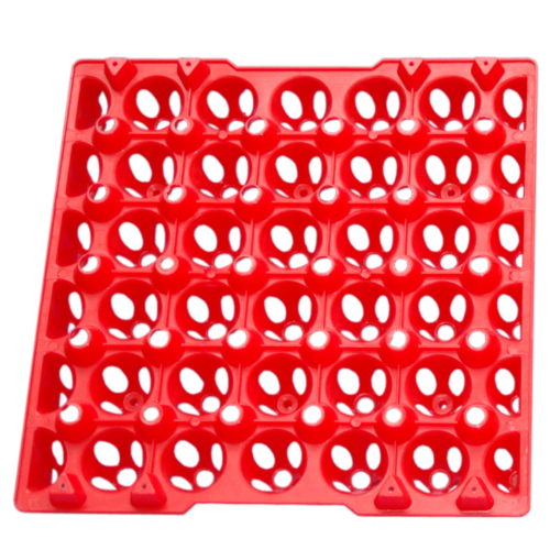 Plastic Egg Tray-Small 
